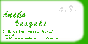 aniko veszeli business card